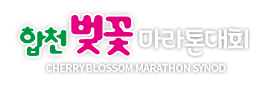 벚꽃마라톤대회